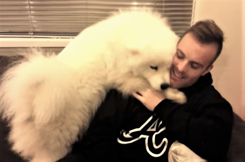samoyed hug
